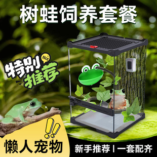 【树蛙饲养套餐】树蛙活体宠物树蛙角粮饲养盒蛙饲料宠物青蛙活物