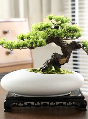 中式创意个性大口径粗陶透气盆景