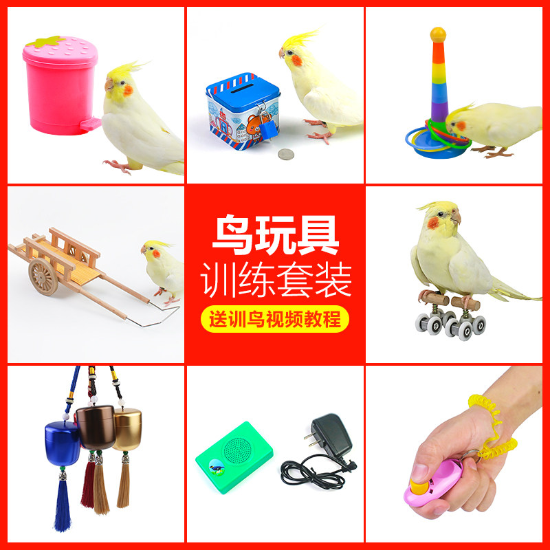 益智神器投币套圈学舌玄凤鹦鹉