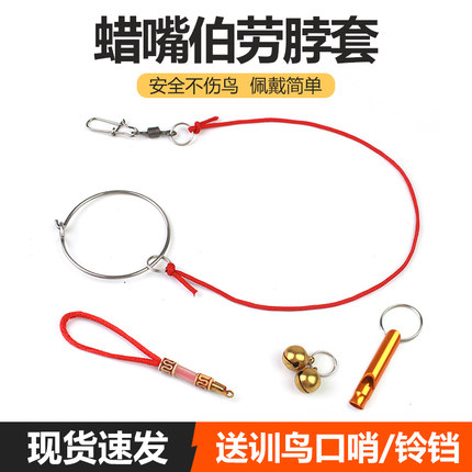 蜡嘴伯劳文鸟画眉拴鸟用脖套绳训鸟蜡嘴脖套绳锁鹦鹉脚环脚链配件
