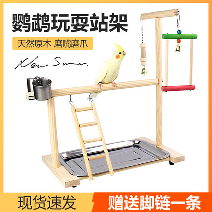 鹦鹉游乐场站架牡丹虎皮玄凤鹦鹉站架秋千啃咬脚链实木站台鸟架子
