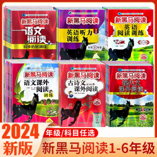 2024新版新黑马阅读一 二 3三年级4四年级5五年级6六年级小学语文英语课外阅读理解专项训练题书人教版强化每日一练上册下册黑色马