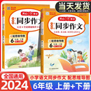 小学生6年级语文开心专项训练全解阅读与写作理解训练题教材教辅黄冈作文书选范文大全 2024新版 六年级同步作文下册上册部编人教版