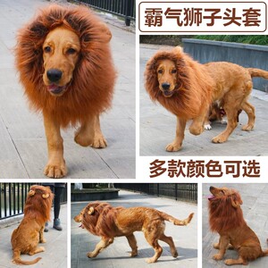 狗狗狮子头套金毛围脖假发帽子