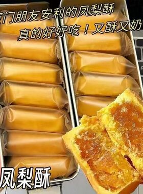 铁盒凤梨酥闽南特产新鲜日期