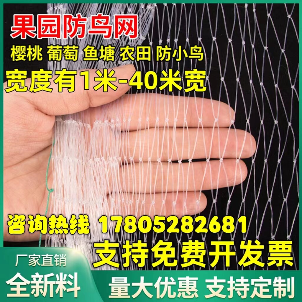 防鸟网透明尼龙防鸟网泥鳅鱼塘养殖网天网葡萄樱桃枸杞果园防鸟网