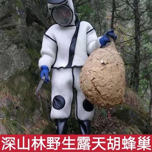 房可做中药材装饰250克包邮蜂房