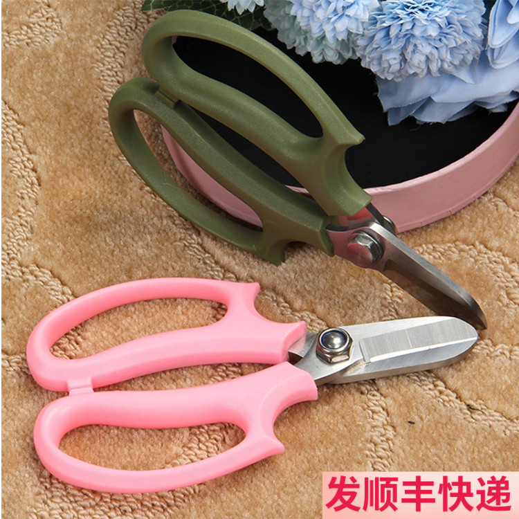 剪刀斗南鲜花基地直发云南昆明花卉市场水养插花真花鲜切花花艺