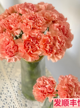 橙光橙忆橙色单头康乃馨送礼生日插花斗南鲜花基地直发鲜切花真花