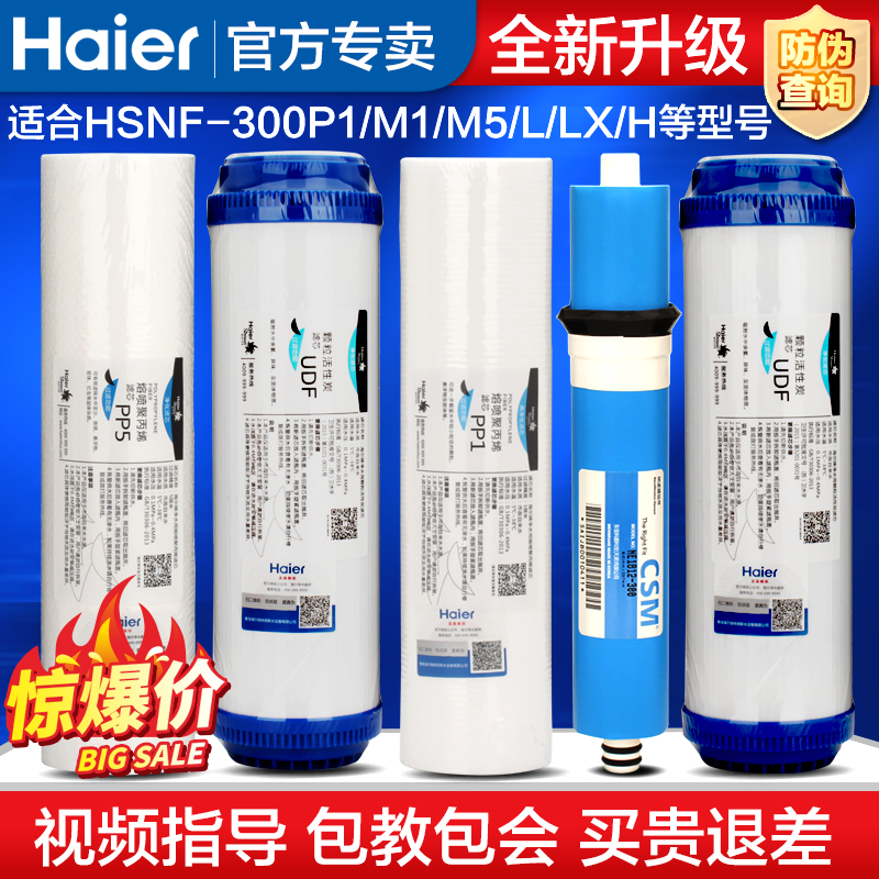 海尔Haier施特劳斯净水器滤芯HSNF-300M1/M5/P1H/L/M/HL/HLJ-封面