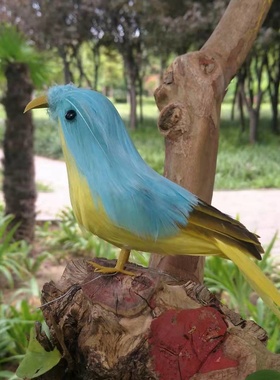 家居客厅田园风摄影道具创意装饰