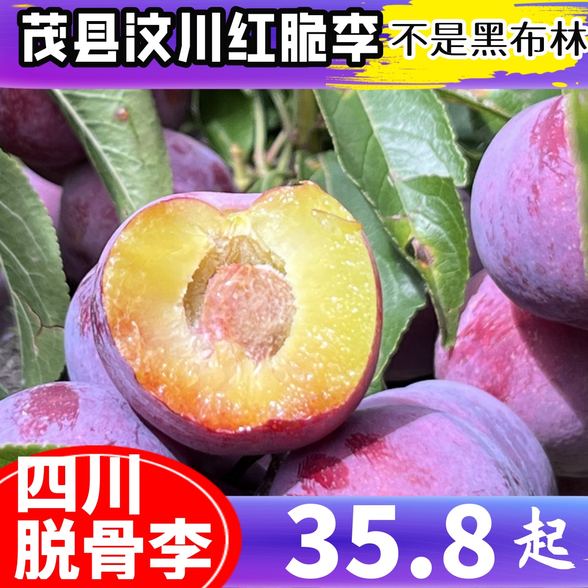 红脆李茂县汶川脱骨李新鲜脆李子