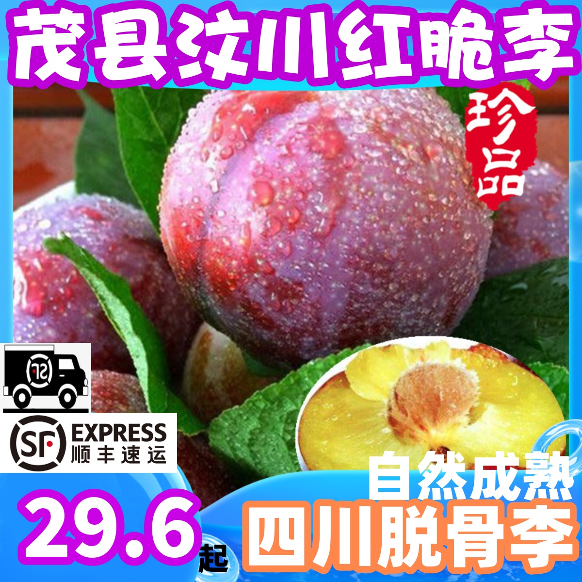 四川水果茂县李子脱骨新鲜脆汶川