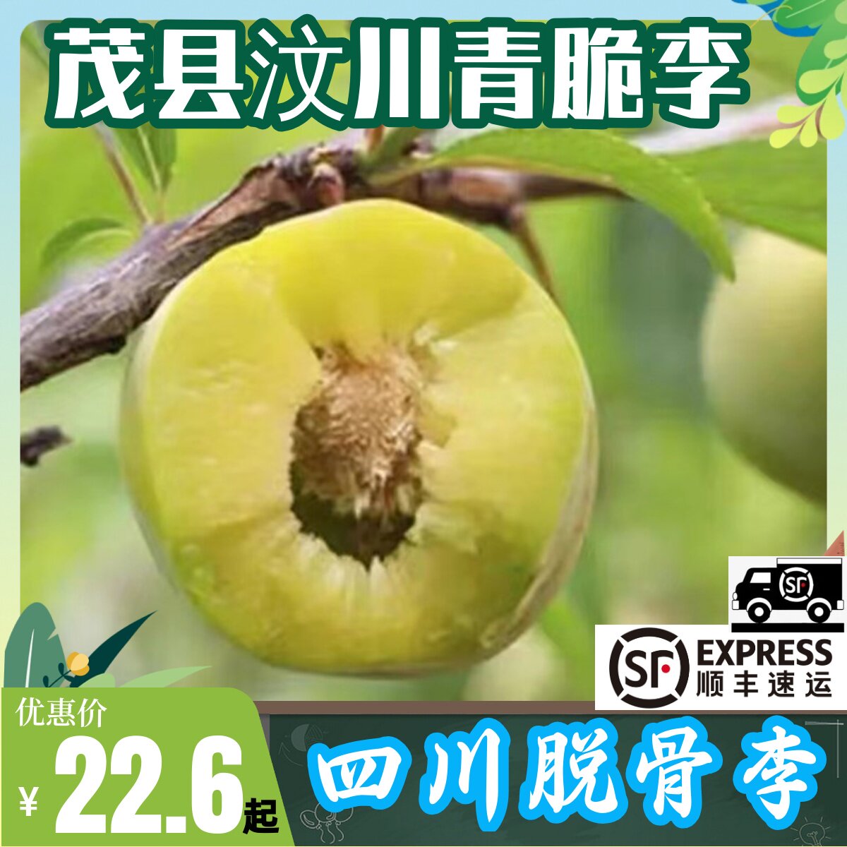 顺丰脱骨脆李子新鲜脱骨茂县汶川