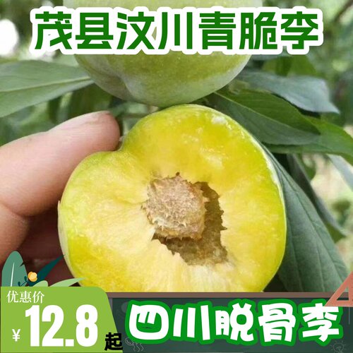 青脆脱骨空心茂县汶川土李子新鲜