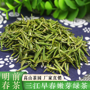明前春茶单芽绿茶2026新茶叶广西柳州三江绿茶布央高山翠芽
