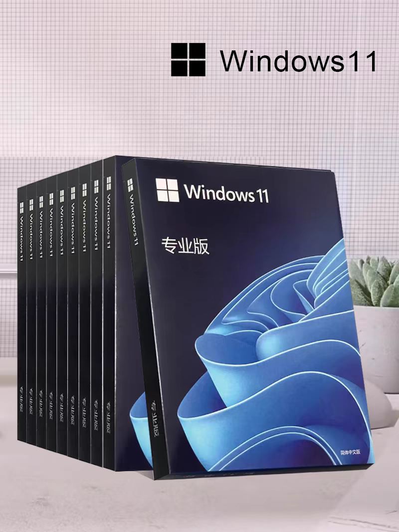 微软Windows10/11pro办公软件