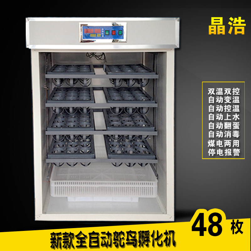 鸸鹋孵蛋机 全自动孔雀孵化机 鸵鸟孵蛋器 鸽子孵化箱72枚包邮