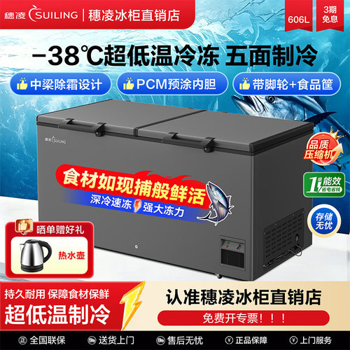 穗凌商用全冷冻卧式冷柜BD-580
