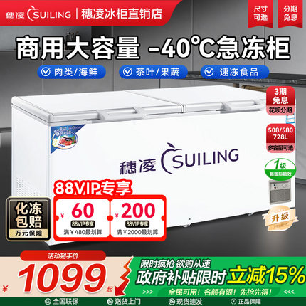 穗凌冰柜商用冷冻柜大容量BD-580全冷冻卧式冷柜冷藏冷冻茶叶冰箱