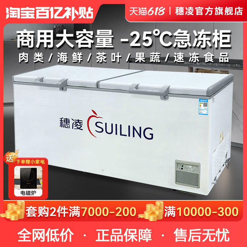 穗凌冰柜商用冷冻柜大容量BD-580全冷冻卧式冷柜冷藏冷冻茶叶冰箱图片