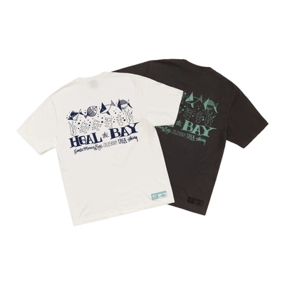 正品现货 Stussy Heal The Bay 25FW海洋联名小鱼印花短袖T恤男女