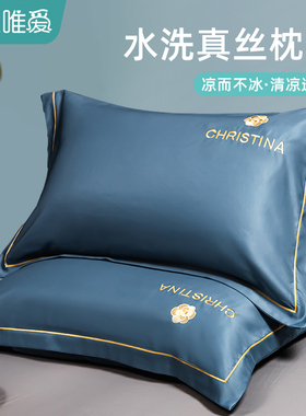 夏季冰丝枕套整头枕头套一对装家用凉枕罩单个纯色蓝色枕芯内胆套