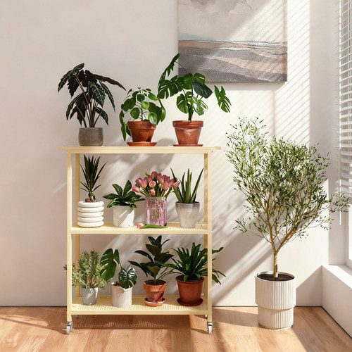 2025新款带轮可移动阳台花架子客厅落地式铁艺多层植物摆放置物架