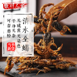 全蝎干中药材蝎子干全蝎粉清水全虫全干蝎