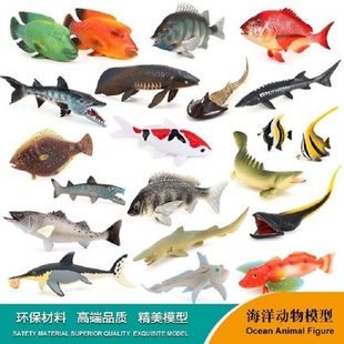 仿真海洋动物神仙鱼鲈鱼花脊鱼中华鲟欧洲比目鱼银鲛实心儿童玩具
