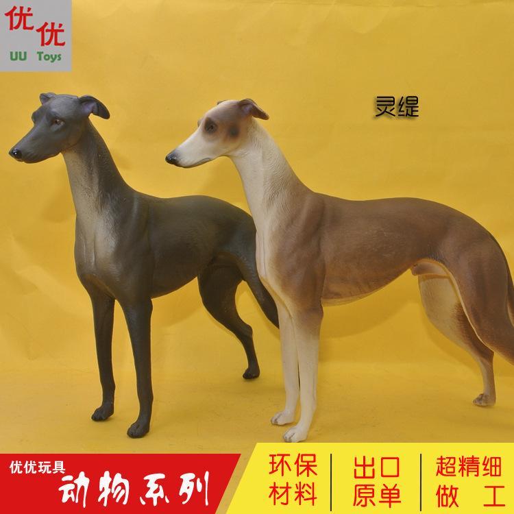 仿真动物小金毛犬沙皮狗斑点狗牛头梗狗大丹狗灵缇狗狼狗儿童模型