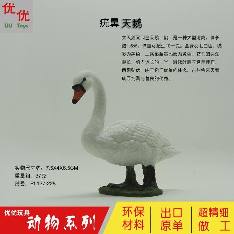仿真野生动物疣鼻天鹅孵蛋天鹅展翅白天鹅实心儿童塑料玩具摆件