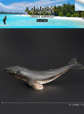 PL127-467-960现货仿真海洋野生动物灰鲸鲨玩具实心鲨鱼模型儿童