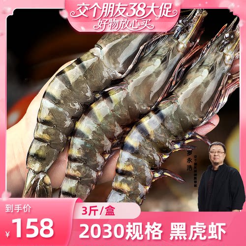 【交个朋友】售北海湾特大黑虎虾2030规格/3斤/盒老虎虾