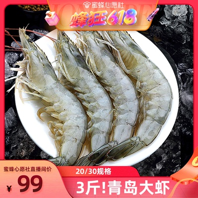 北海湾无冰新鲜青岛大虾