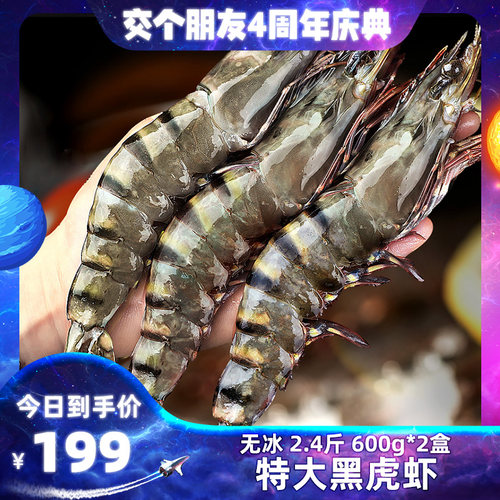 北海湾单只冻特大黑虎虾斑节虾