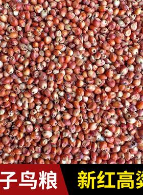 去壳带皮红高粱米鹦鹉鸟食仓鼠零食 喂鸽子饲料杂粮包邮5斤