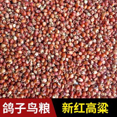 去壳带皮红高粱米鹦鹉鸟食仓鼠零食 喂鸽子饲料杂粮包邮5斤