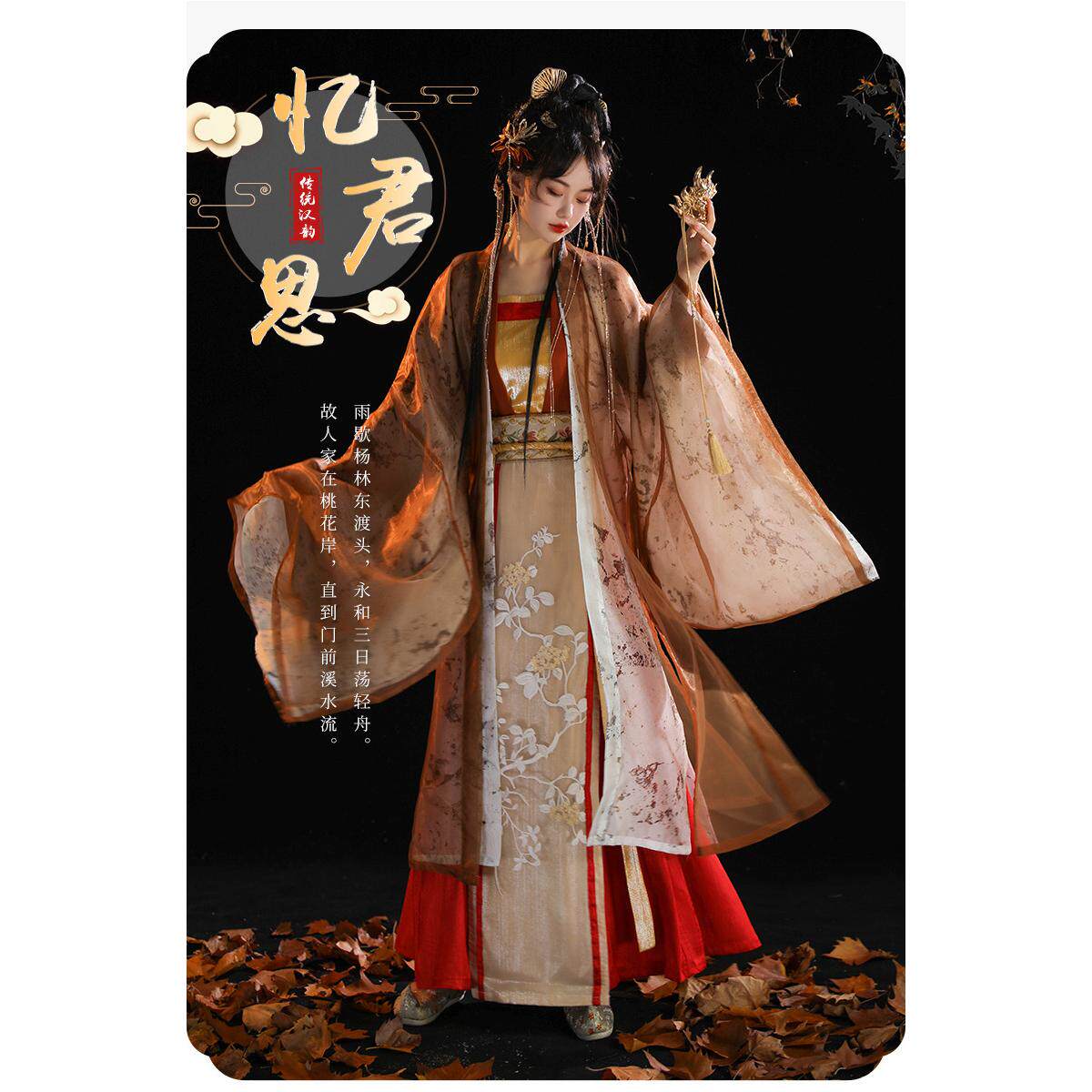 春夏季新款忆君思宋制汉服古装中上衣