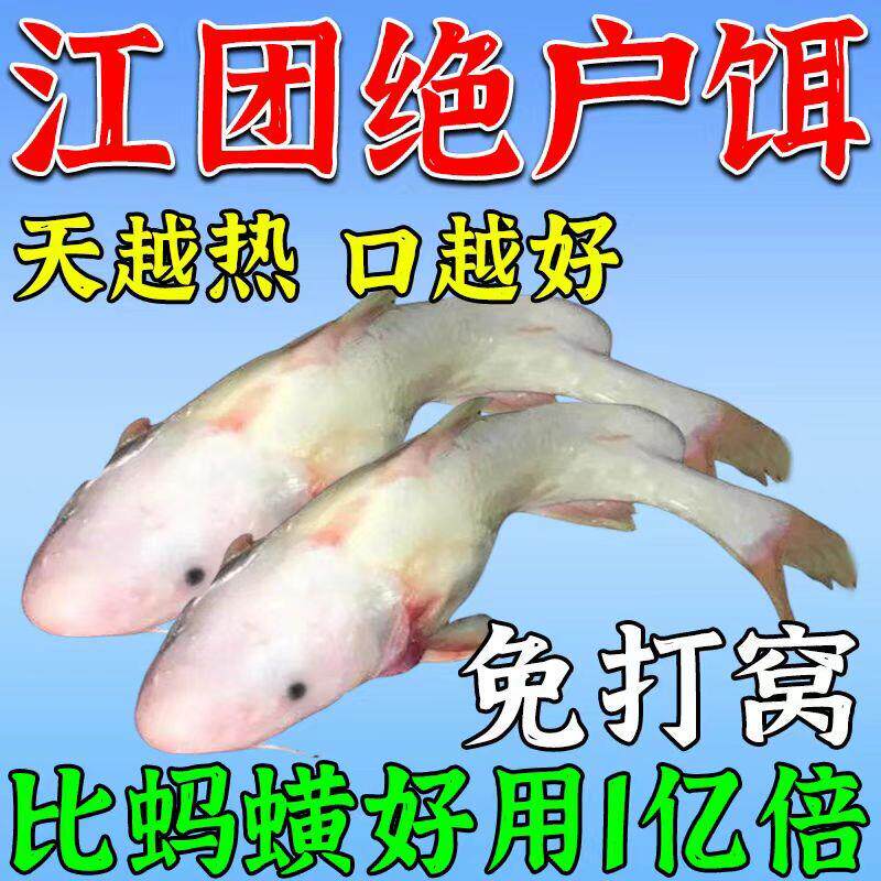 江团饵料钓江团鱼清江叉尾鱼专用饵料窝料黑坑野钓专用诱鱼开口剂 - 实物图