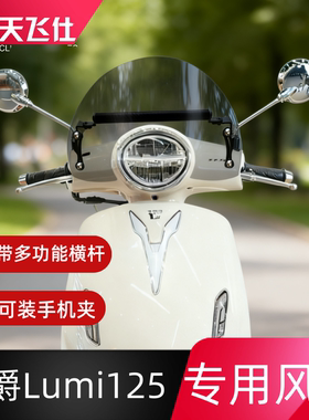 天飞仕适用于豪爵Lumi125专用风挡多功能支架一体设计防风挡护胸