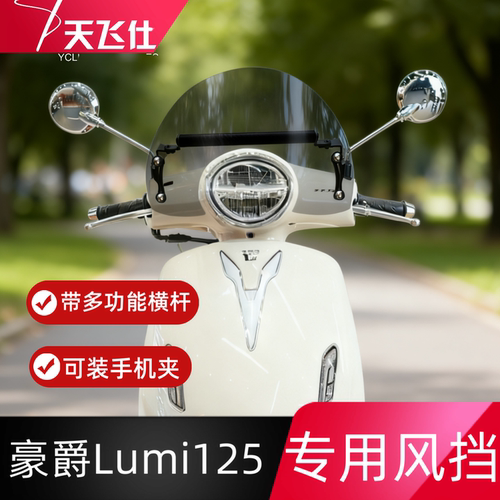 天飞仕适用于豪爵Lumi125专用风挡多功能支架一体设计防风挡护胸