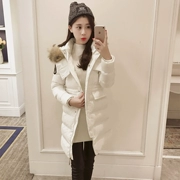 Mùa đông 2019 phiên bản Hàn Quốc mới của eo thon Slim mỏng dài phần cotton nhỏ áo khoác nữ xuống áo khoác cotton - Bông