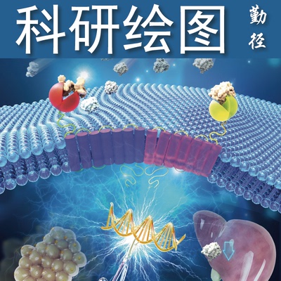 科研绘图SCI期刊封面设计机制图医学信号通路作图TOC示意图摘要图