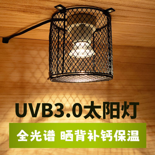 灯罩爬宠蛇鹦鹉芦丁鸡保温灯罩