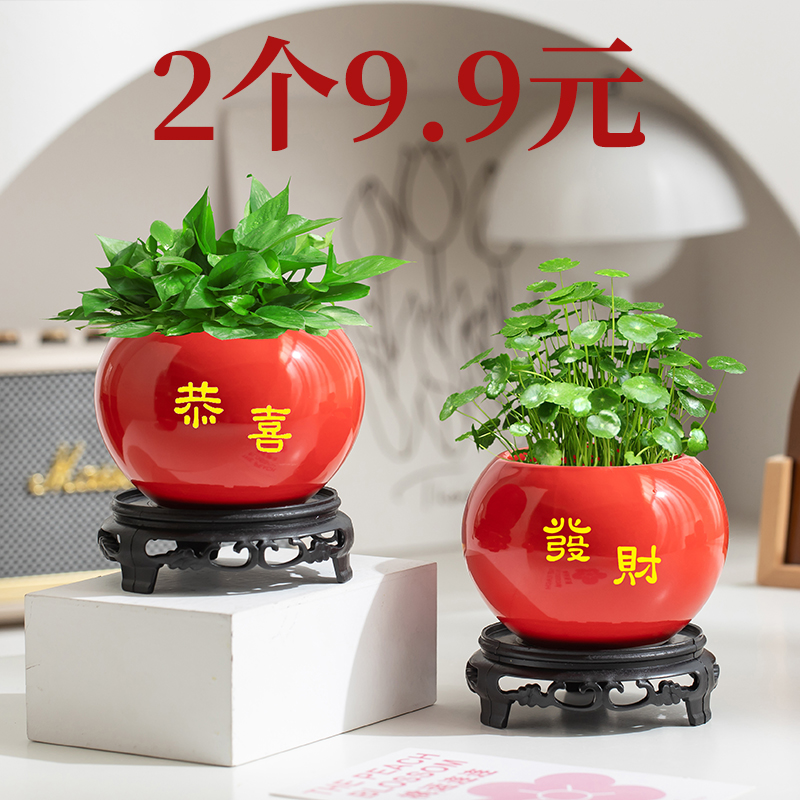 简约现代陶瓷红色水培花瓶绿萝花盆植物插花瓶客厅桌面摆件器皿