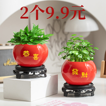简约现代陶瓷红色水培花瓶绿萝花盆植物插花瓶客厅桌面摆件器皿