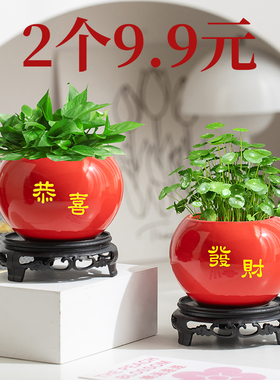 简约现代陶瓷红色水培花瓶绿萝花盆植物插花瓶客厅桌面摆件器皿