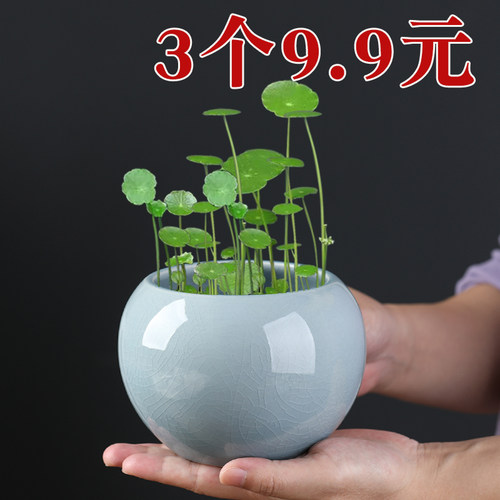 陶瓷哥窑开片陶瓷水培小花盆无孔花钵绿植容器小清新桌面花器清仓