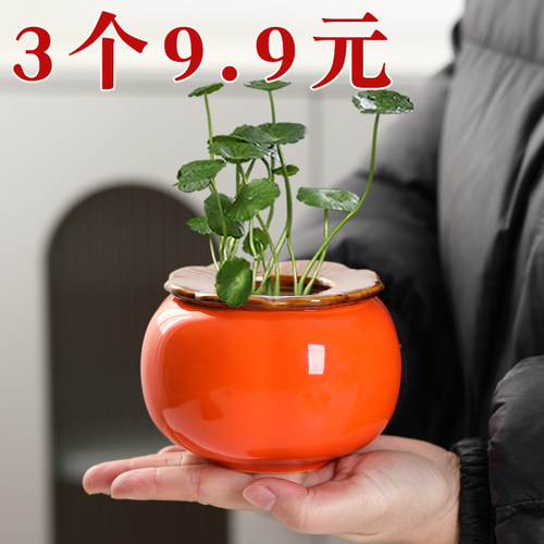 创意柿子花瓶陶瓷水培花盆